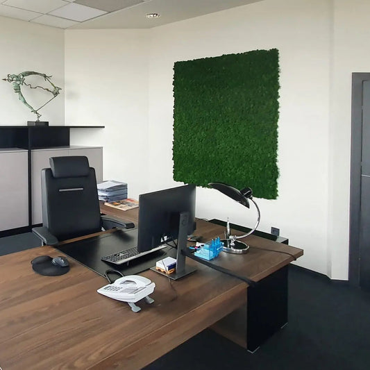 Frameless Flat Moss Wall Panels Rectangle in office space DecorMania.eu
