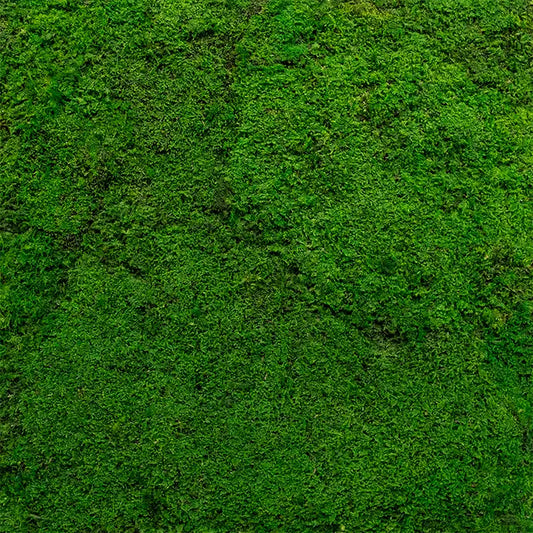 Frameless Flat Moss Wall Panels Square  texture closeup DecorMania.eu