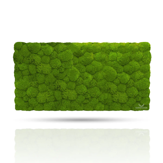 Frameless Pillow Moss Wall Panels Rectangle green DecorMania.eu