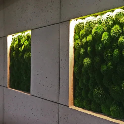 Frameless Pillow Moss Wall Panels Rectangle in modern interior DecorMania.eu
