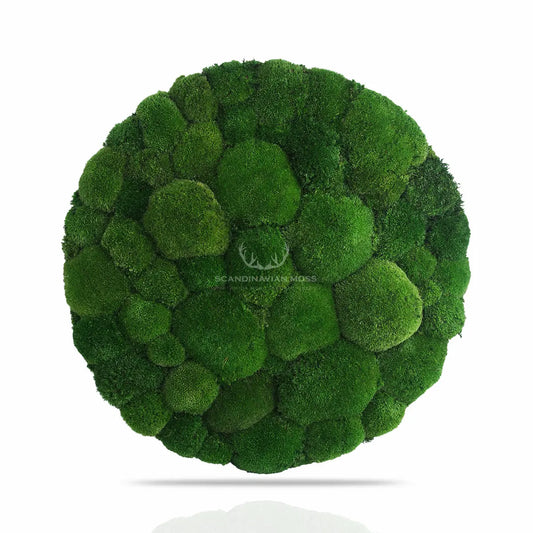 Frameless Pillow Moss Wall Panels Round on white background DecorMania.eu
