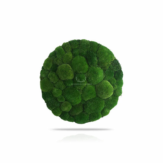 Frameless Pillow Moss Wall Panels Round on white background DecorMania.eu
