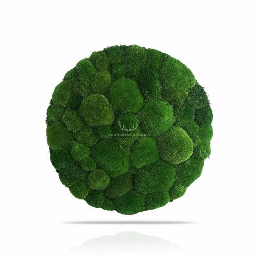 Frameless Pillow Moss Wall Panels Round on white background DecorMania.eu
