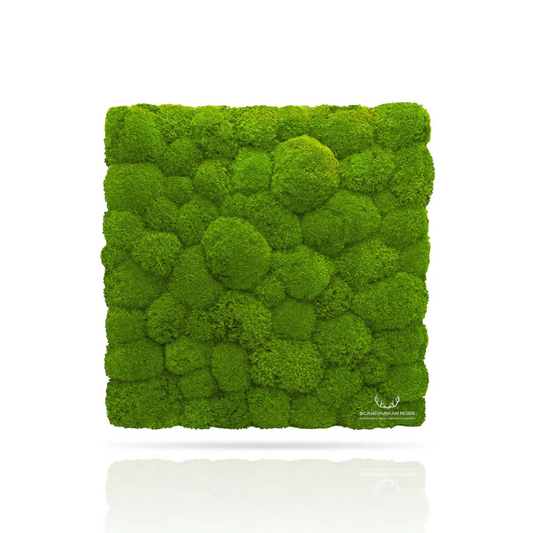 Frameless Pillow Moss Wall Panels Square light green swatch on white background DecorMania.eu