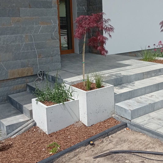 Outdoor Concrete Planters - Rectangle 50x120x50 cm in frontyard of a house next to the stairs Decormania.eu