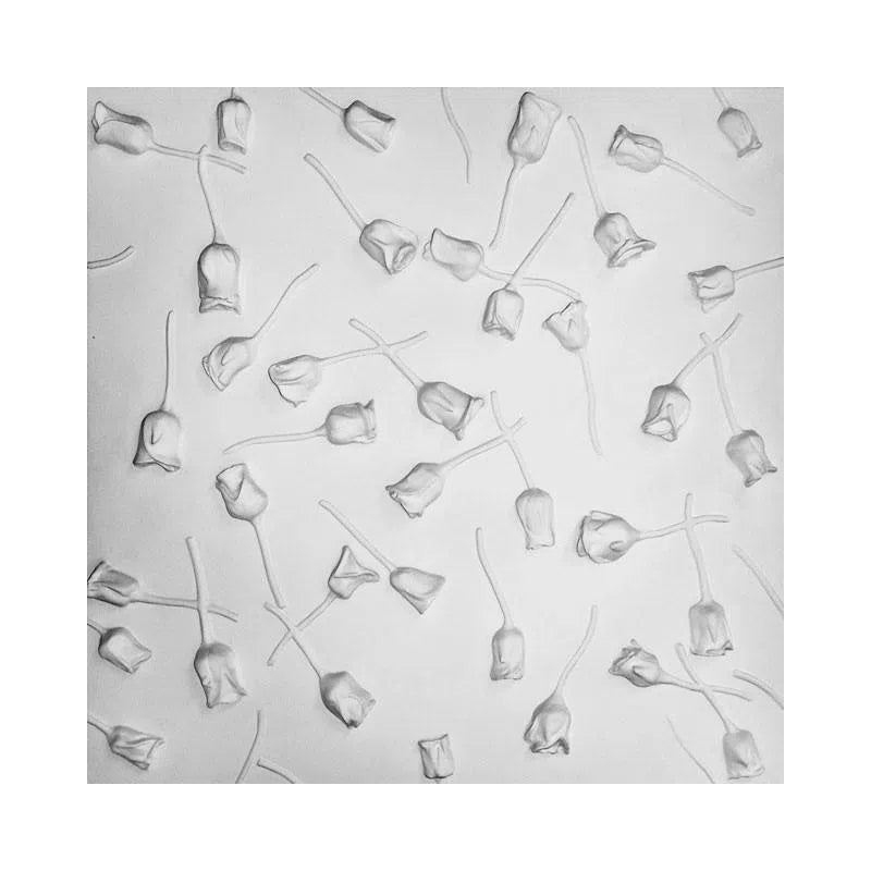 3D Gypsum Wall Art Panels texture detail ROSE GARDEN Decormania.eu