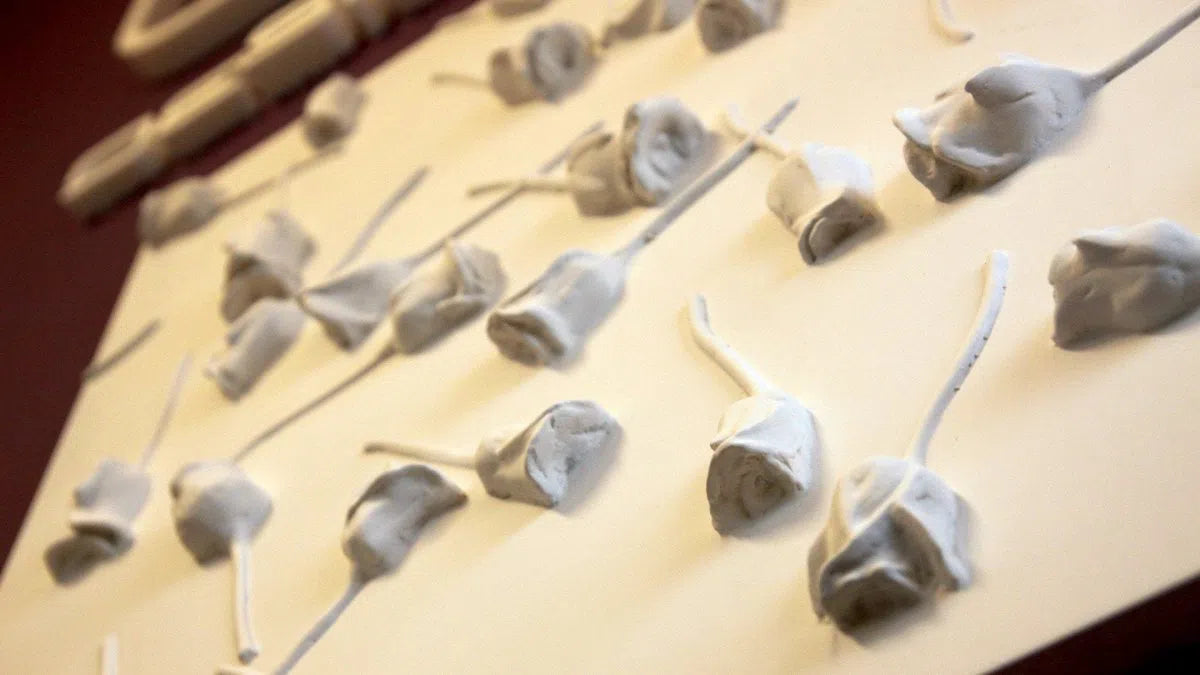 3D Gypsum Wall Art Panels texture closeup ROSE GARDEN Decormania.eu