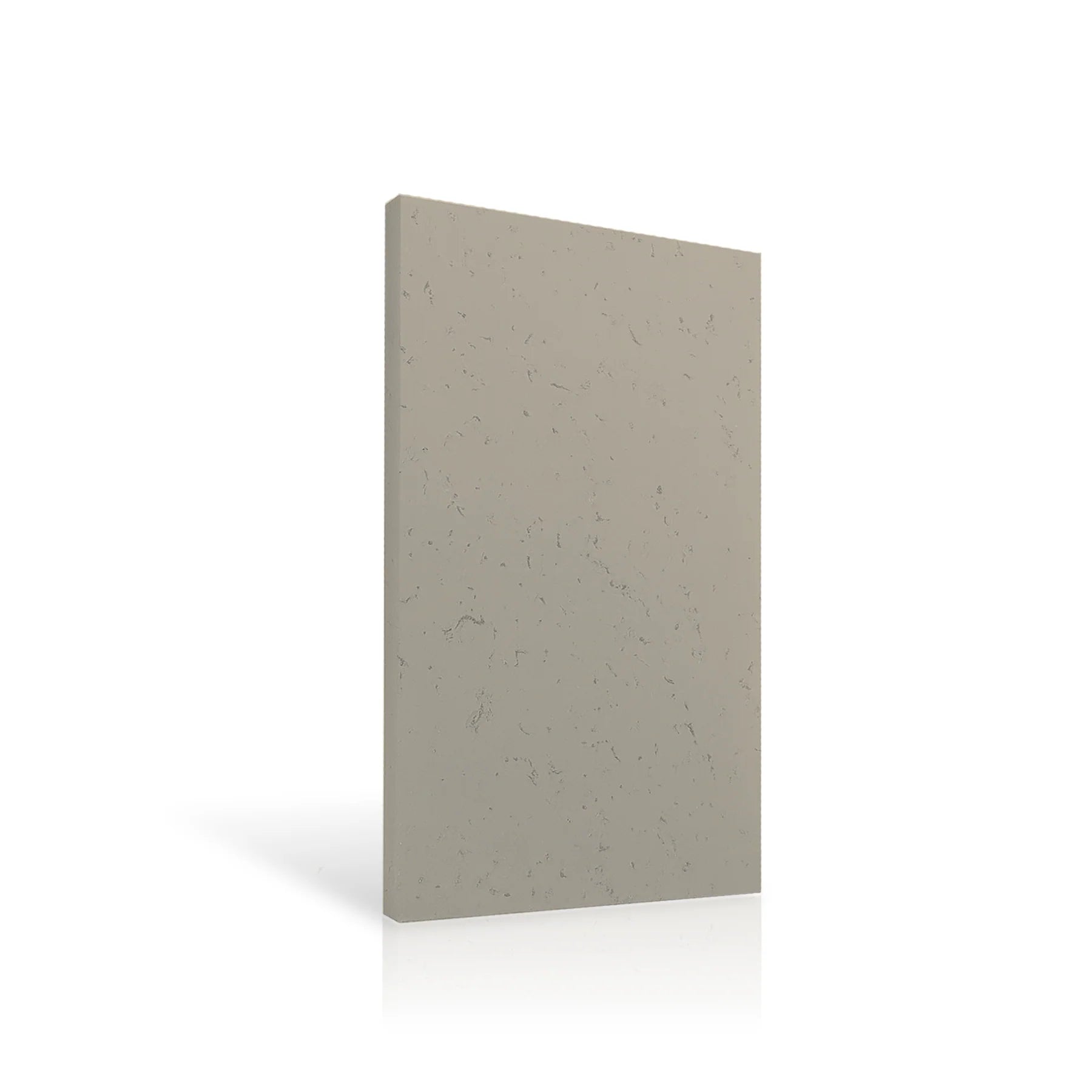 Concrete Wall Panel EXTERIOR 120x60cm colour swatch on white background DecorMania UK