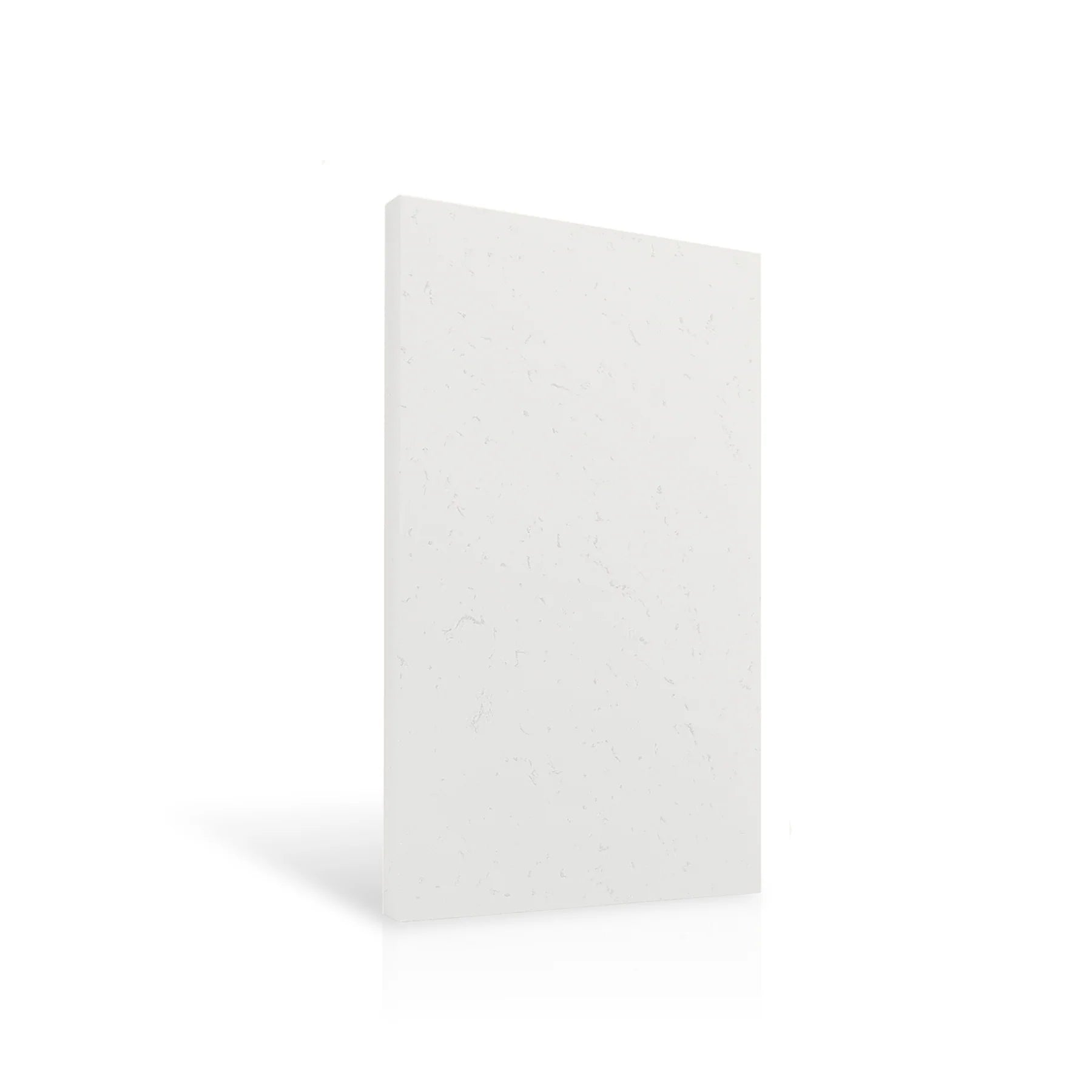 Concrete Wall Panel EXTERIOR 120x60cm colour swatch on white background DecorMania eu
