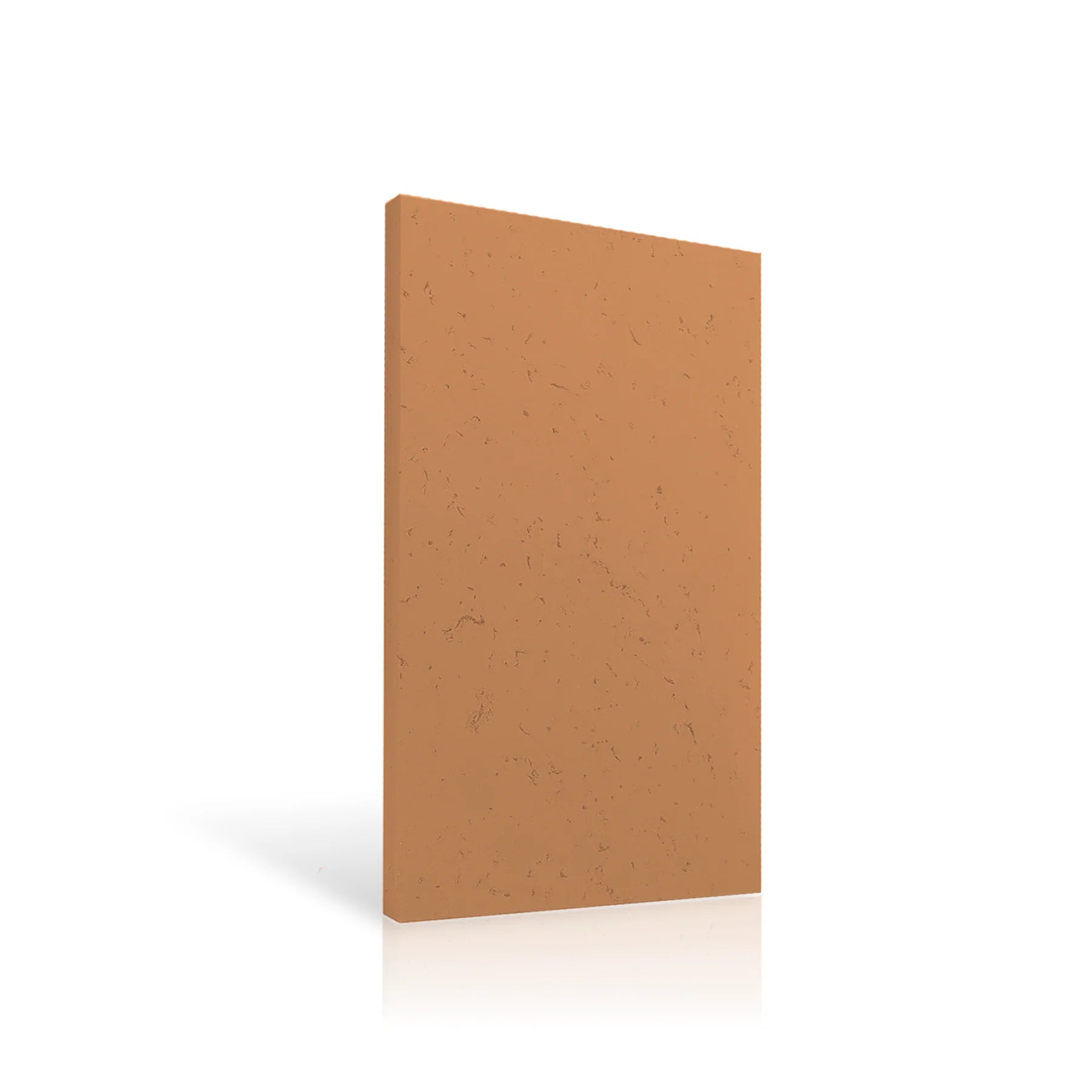 Concrete Wall Panel EXTERIOR 120x60cm colour swatch on white background DecorMania eu