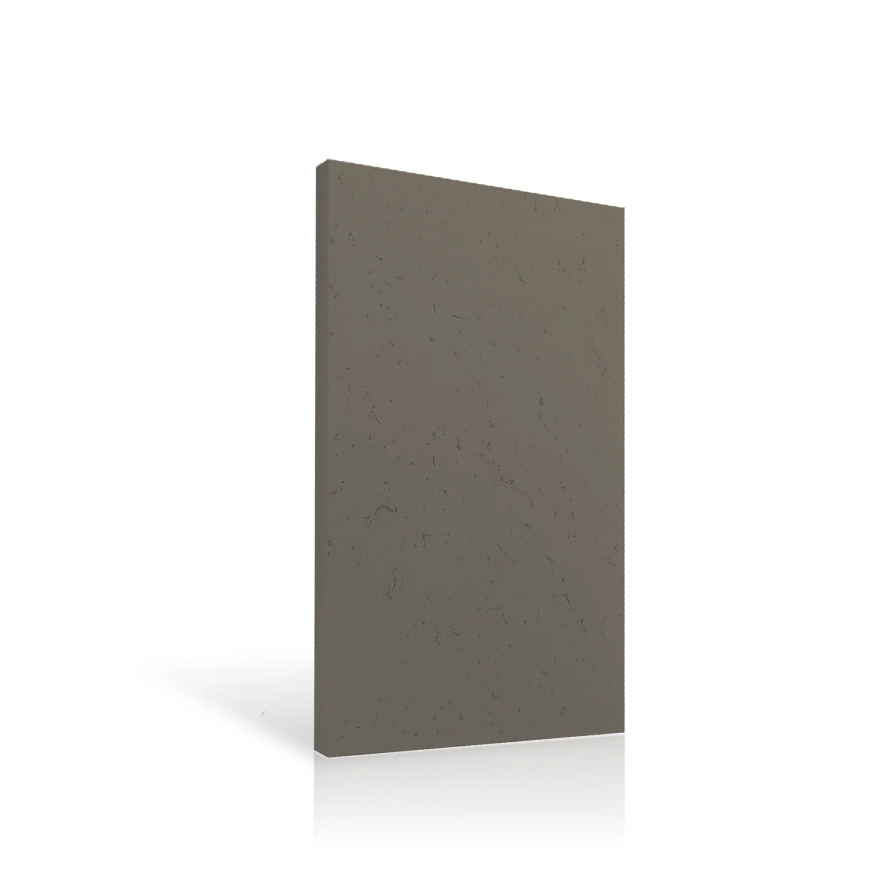 Concrete Wall Panel EXTERIOR 120x60cm colour swatch on white background DecorMania eu