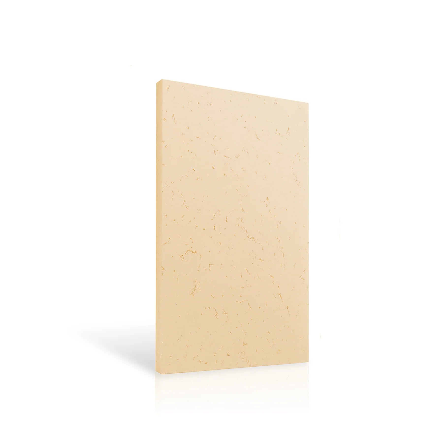 Concrete Wall Panel EXTERIOR 120x60cm colour swatch on white background DecorMania eu