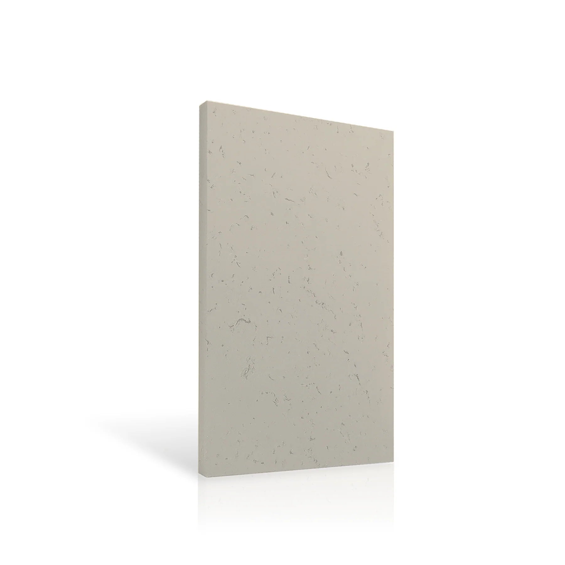 Concrete Wall Panel EXTERIOR 120x60cm colour swatch on white background DecorMania eu