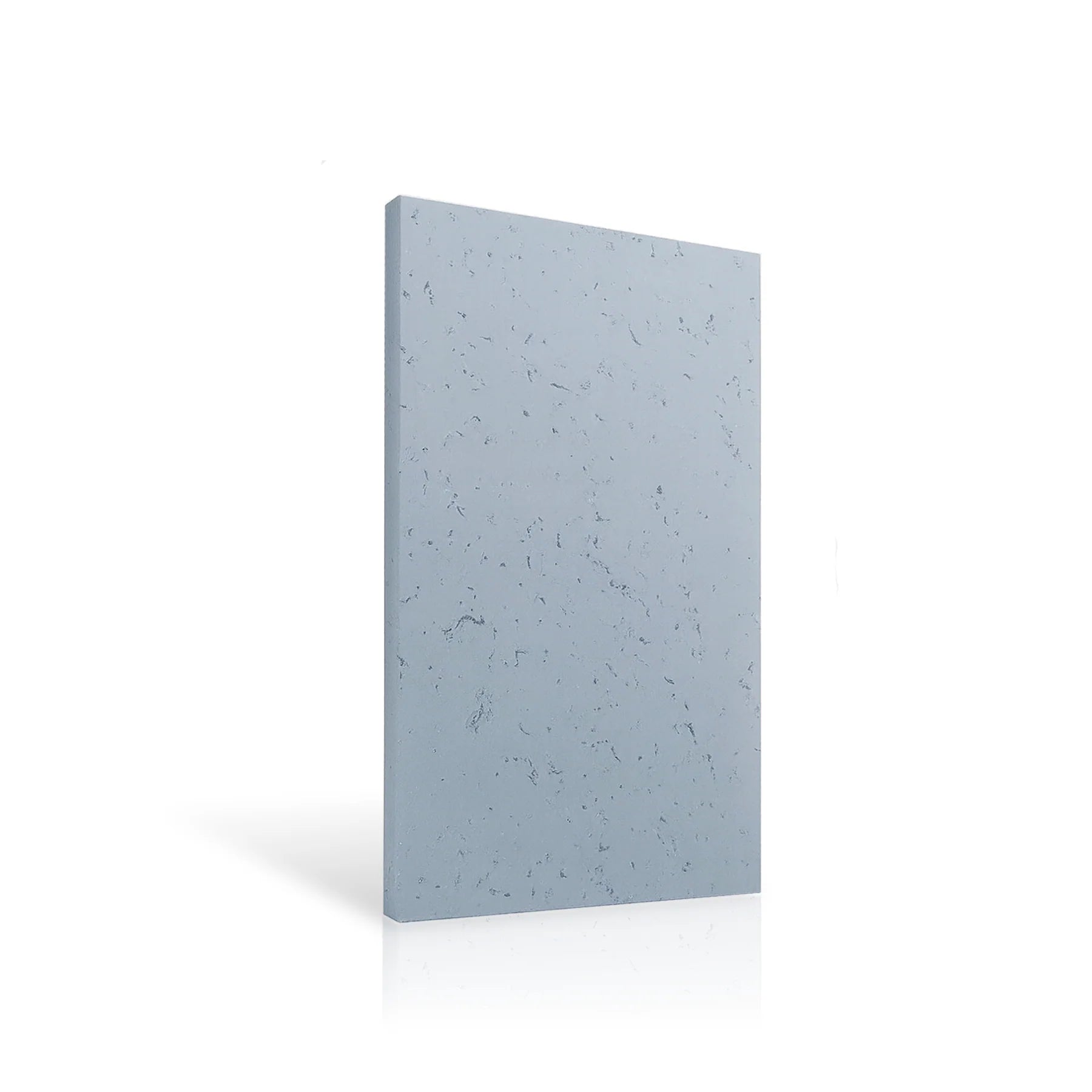 Concrete Wall Panel EXTERIOR 120x60cm colour swatch on white background DecorMania eu
