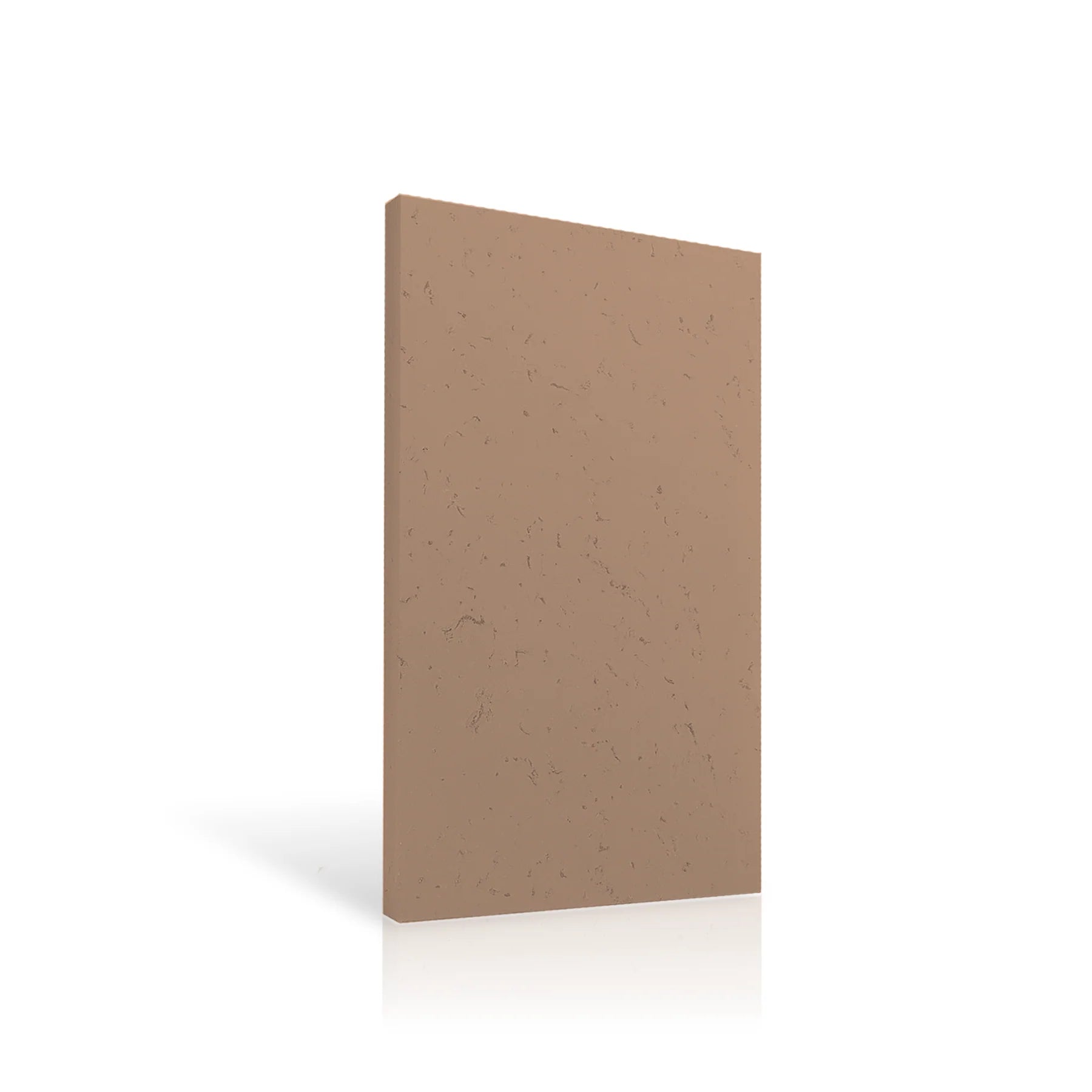 Concrete Wall Panel EXTERIOR 120x60cm colour swatch on white background DecorMania eu