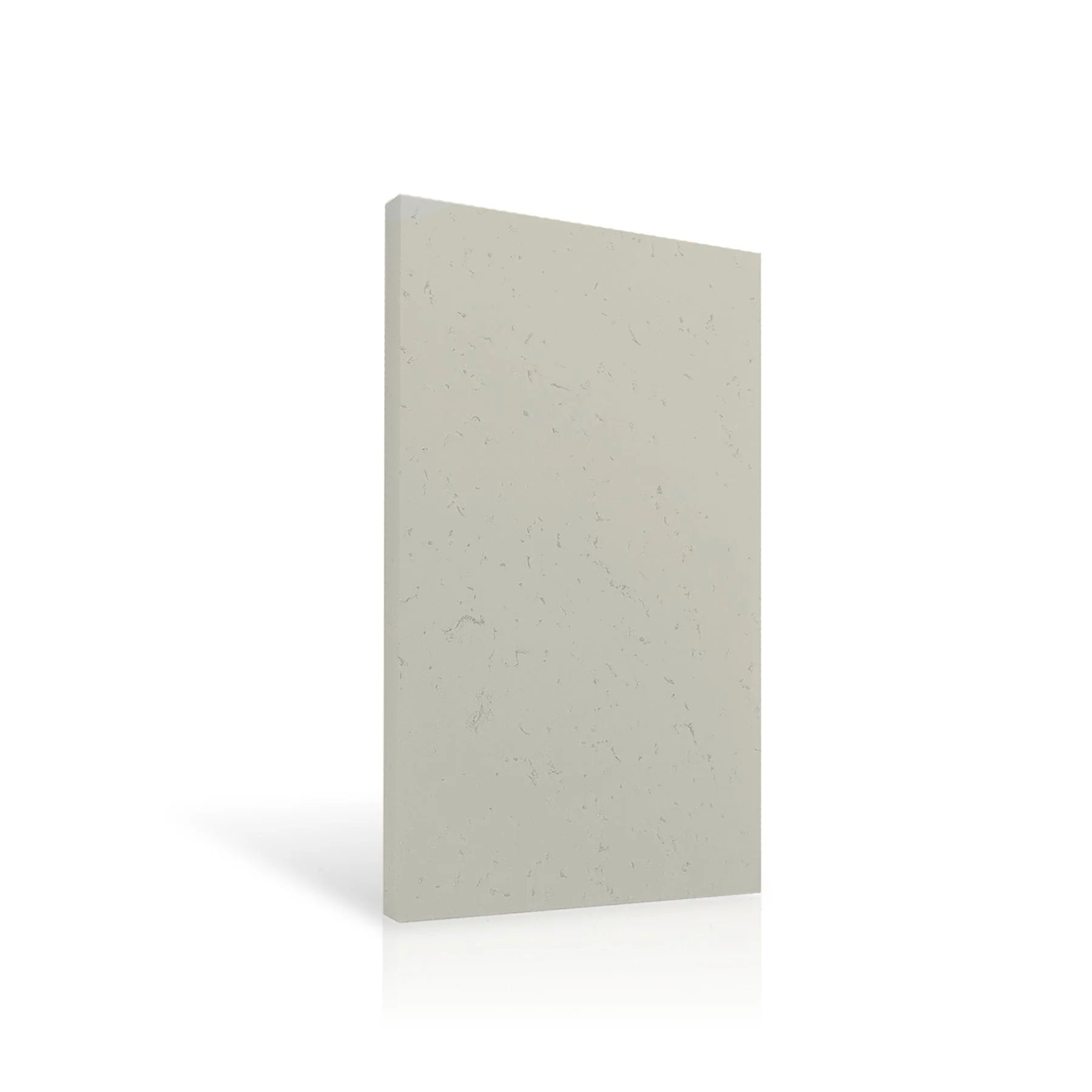 Concrete Wall Panel EXTERIOR 120x60cm colour swatch on white background DecorMania eu