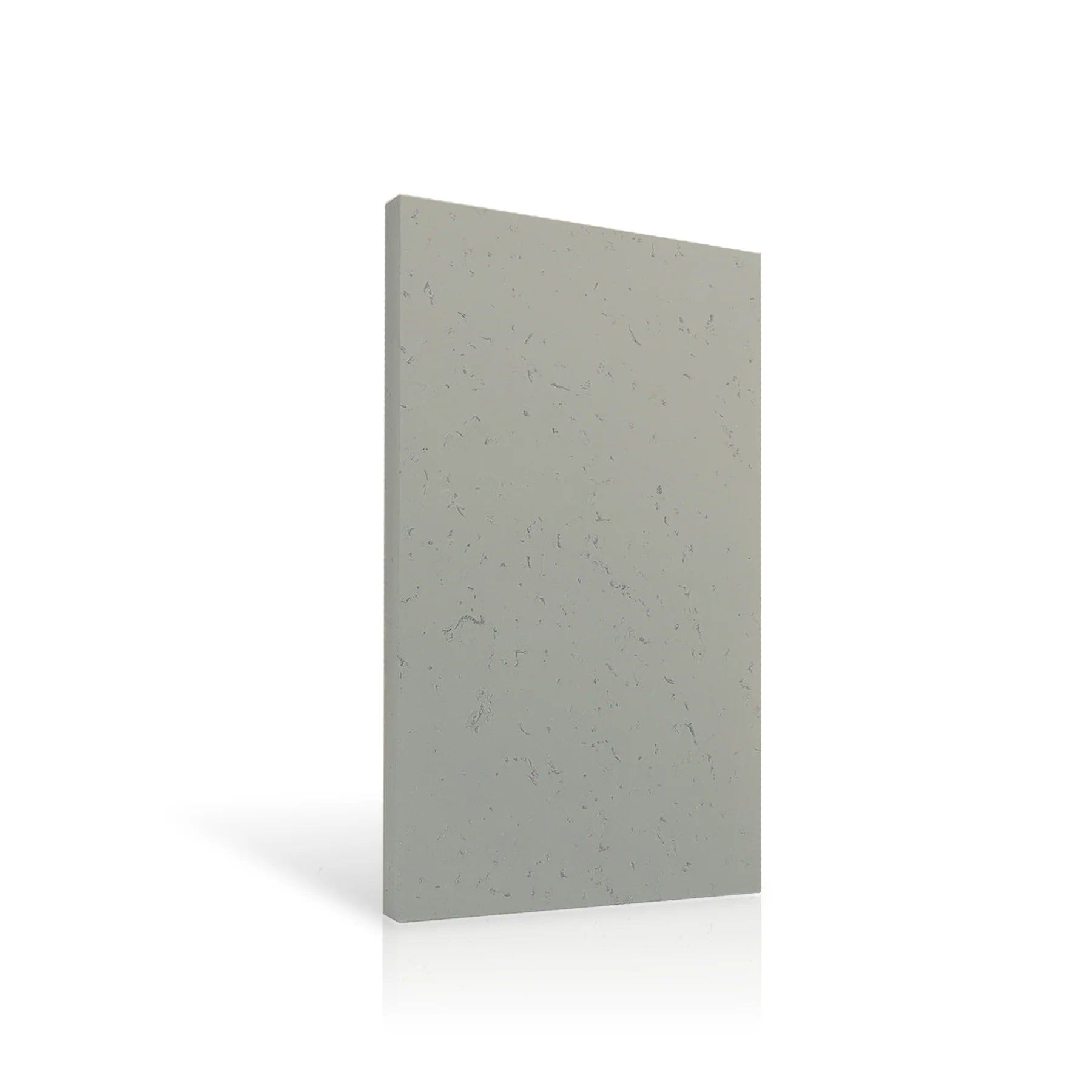 Concrete Wall Panel EXTERIOR 120x60cm colour swatch on white background DecorMania eu