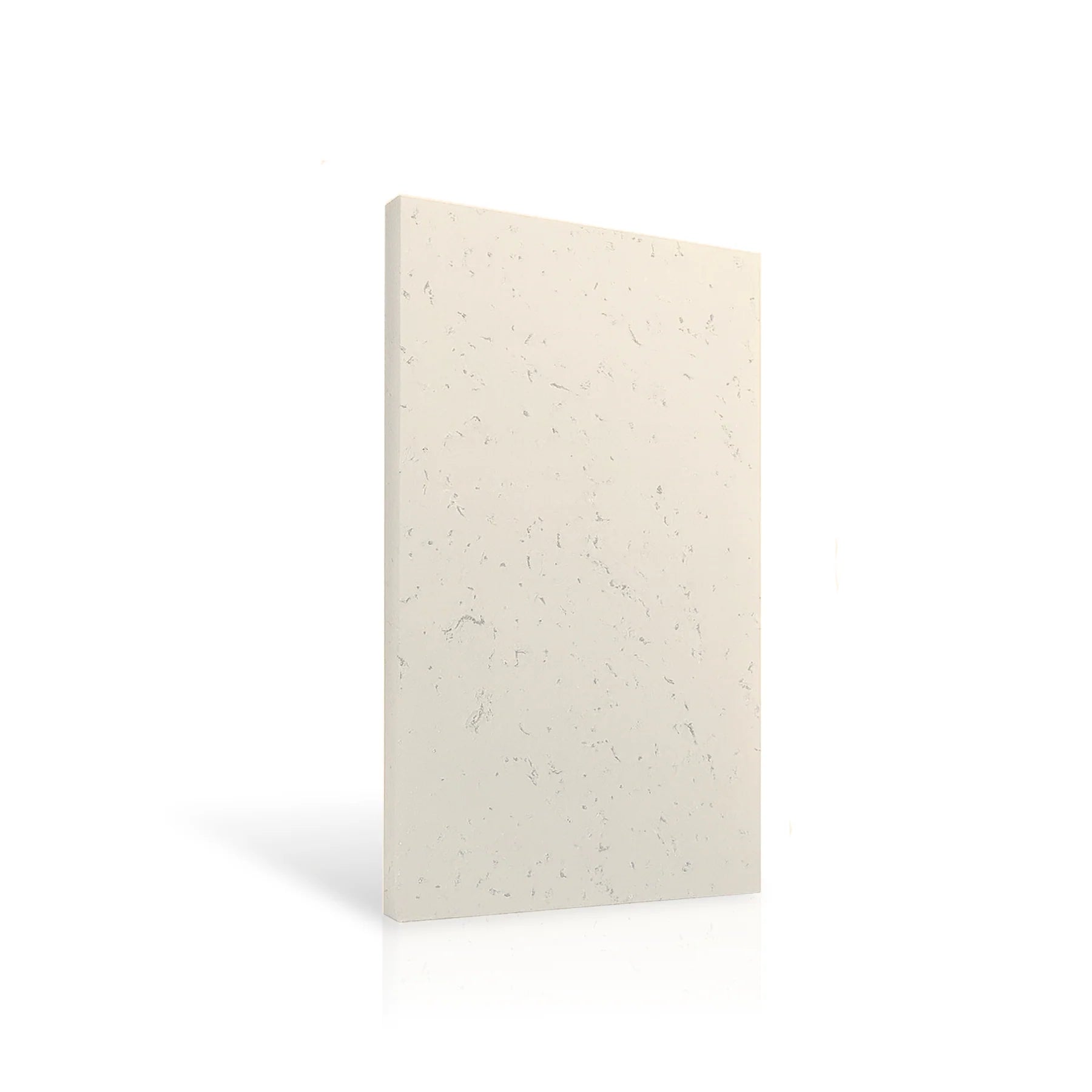 Concrete Wall Panel EXTERIOR 120x60cm colour swatch on white background DecorMania eu