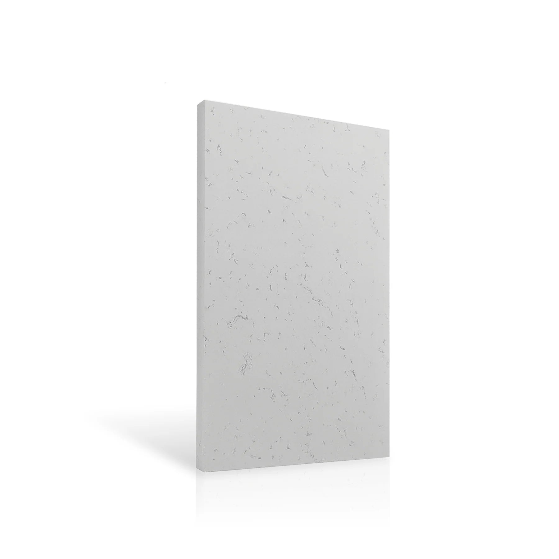 Concrete Wall Panel EXTERIOR 120x60cm colour swatch on white background DecorMania eu