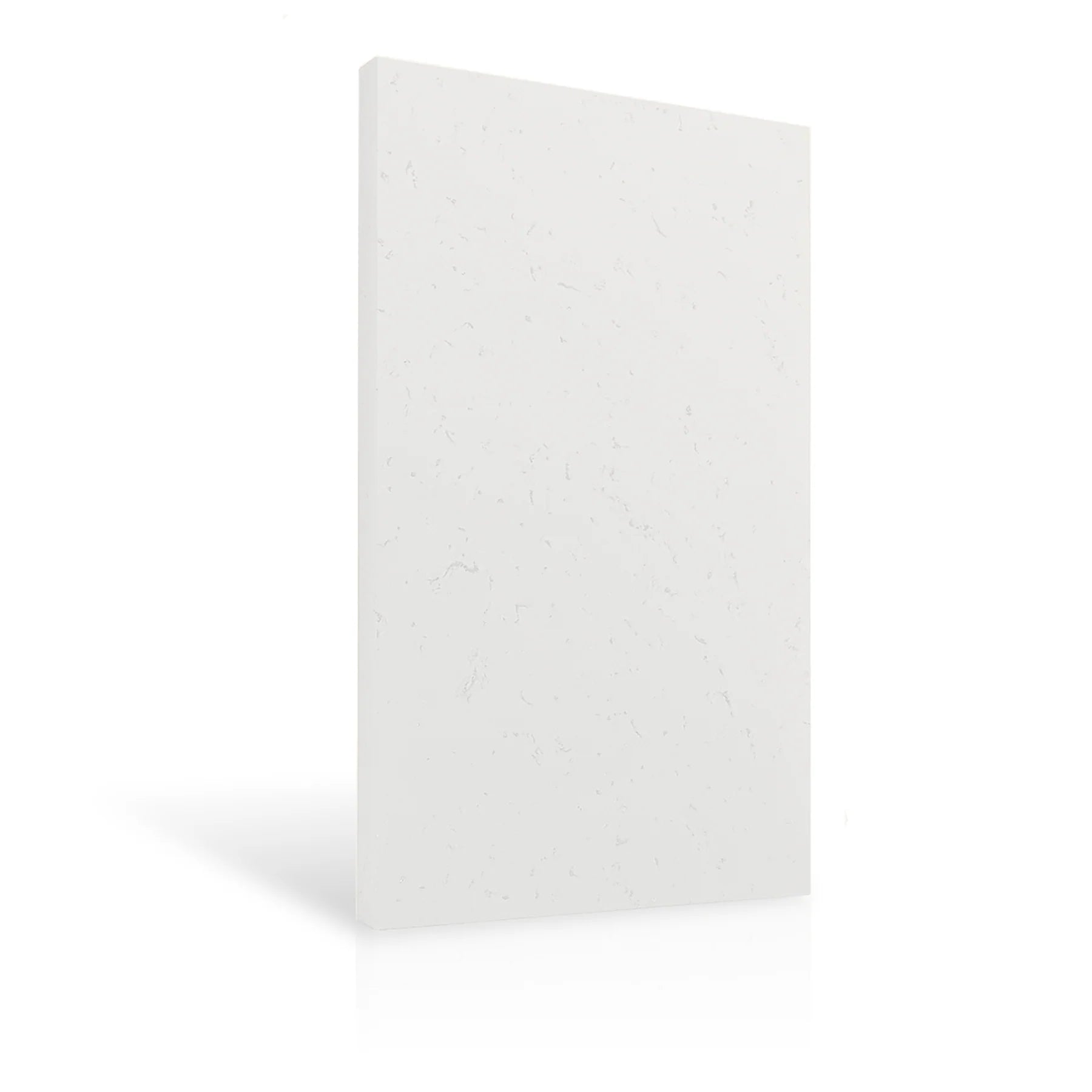 Concrete Wall Panel EXTERIOR 150x75cm colour swatch on white background DecorMania eu