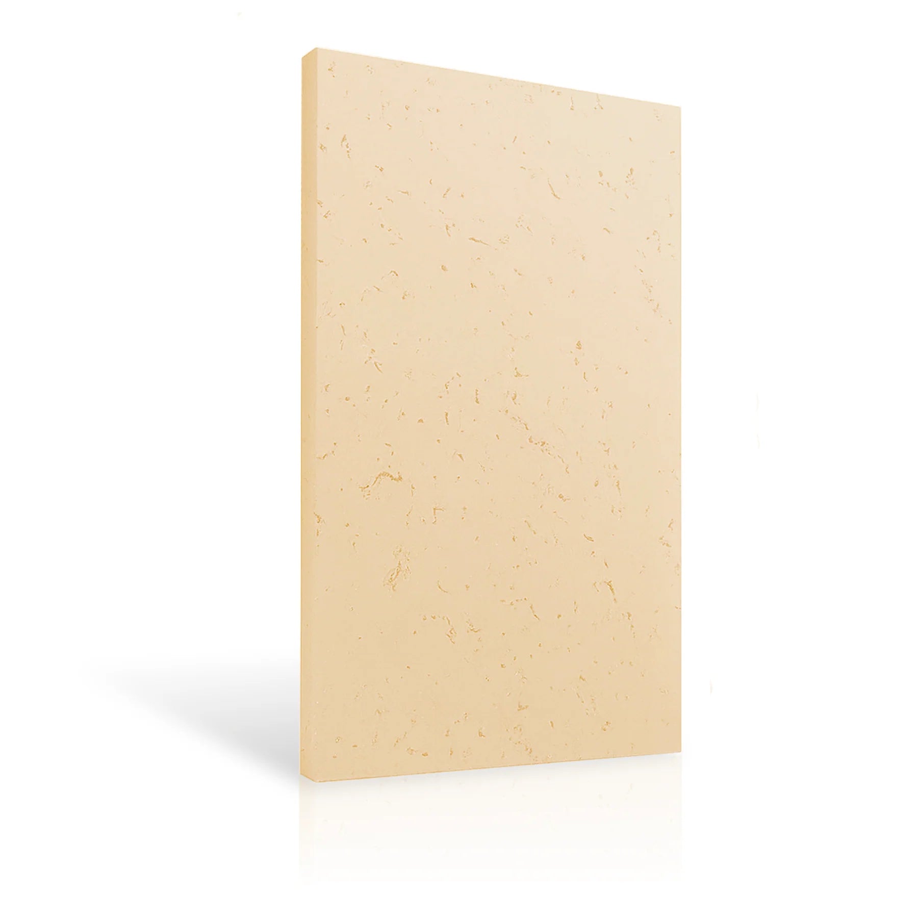 Concrete Wall Panel EXTERIOR 150x75cm colour swatch on white background DecorMania eu
