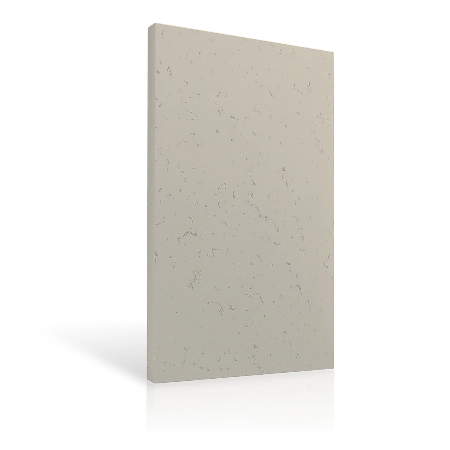 Concrete Wall Panel EXTERIOR 150x75cm colour swatch on white background DecorMania eu
