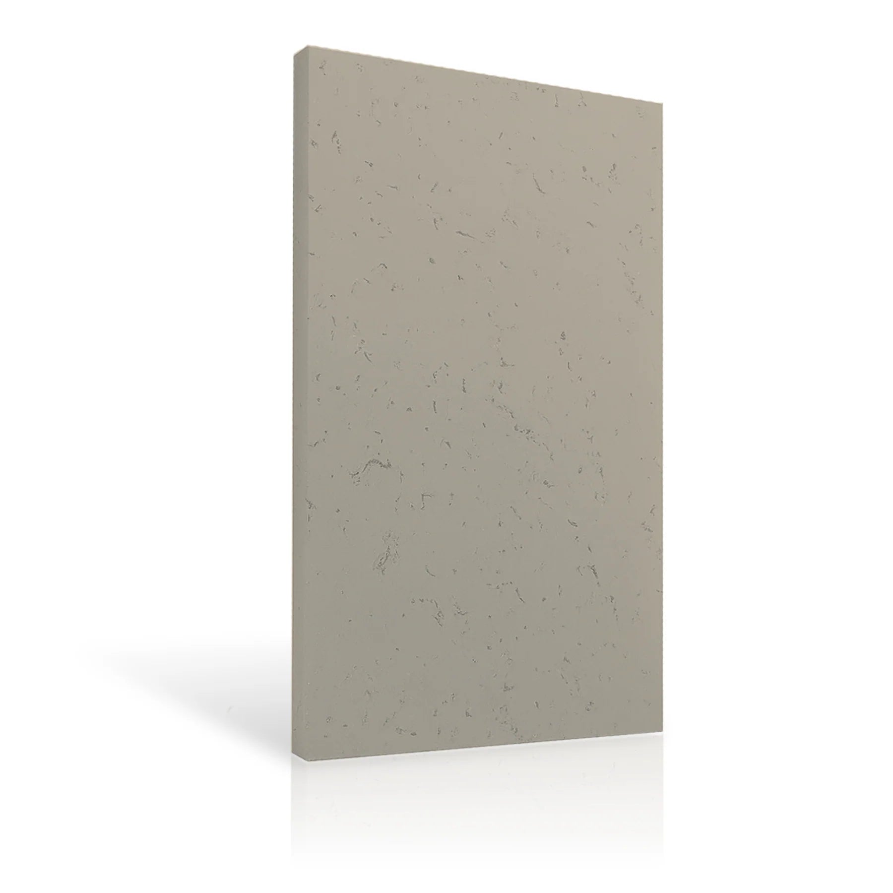 Concrete Wall Panel EXTERIOR 150x75cm colour swatch on white background DecorMania eu