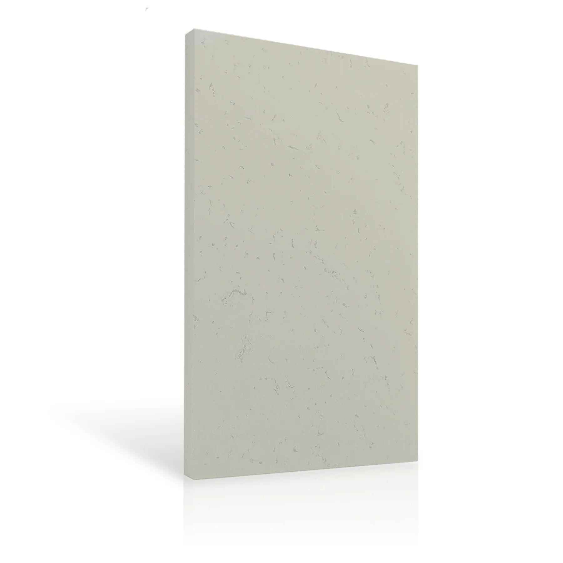 Concrete Wall Panel EXTERIOR 150x75cm colour swatch on white background DecorMania eu