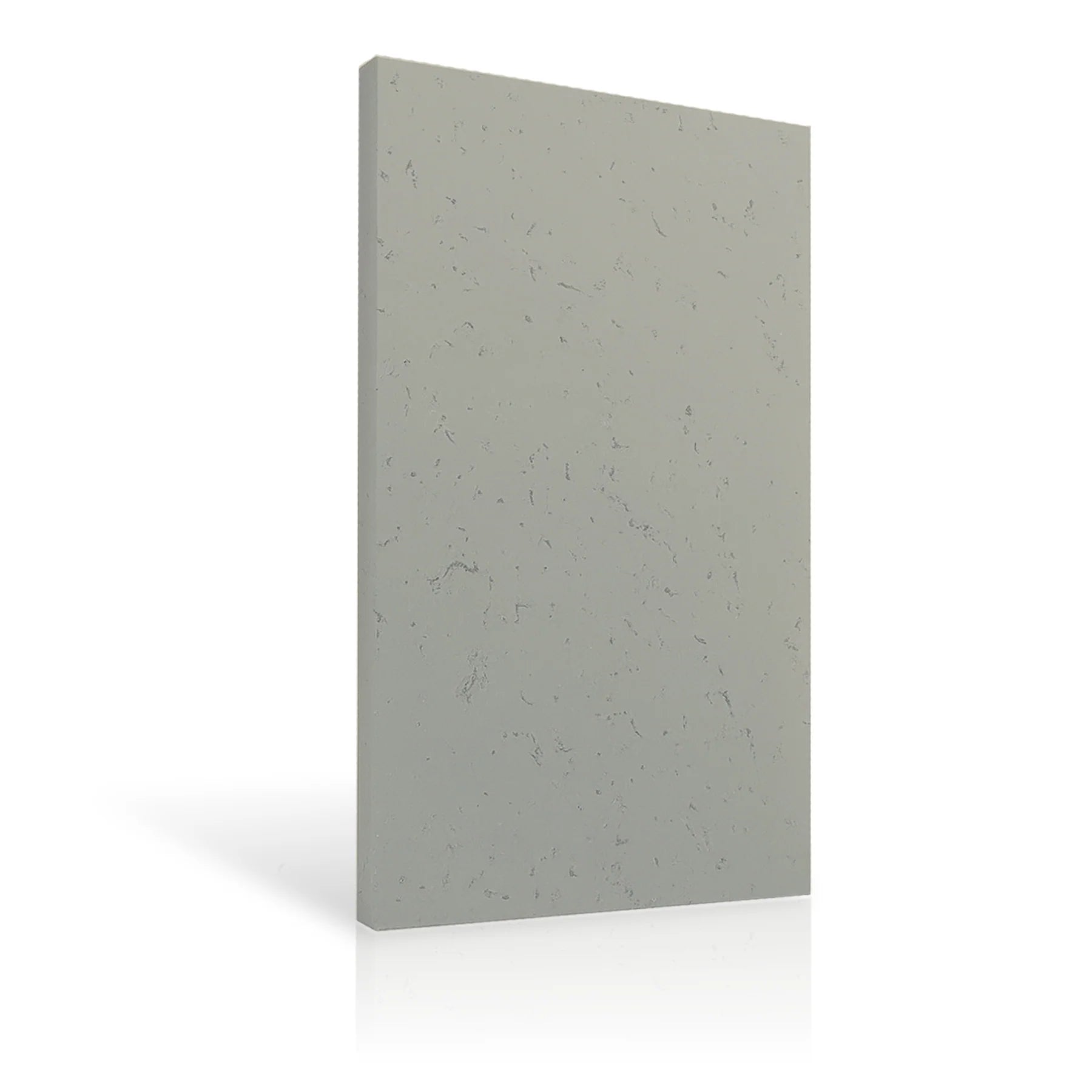 Concrete Wall Panel EXTERIOR 150x75cm colour swatch on white background DecorMania eu