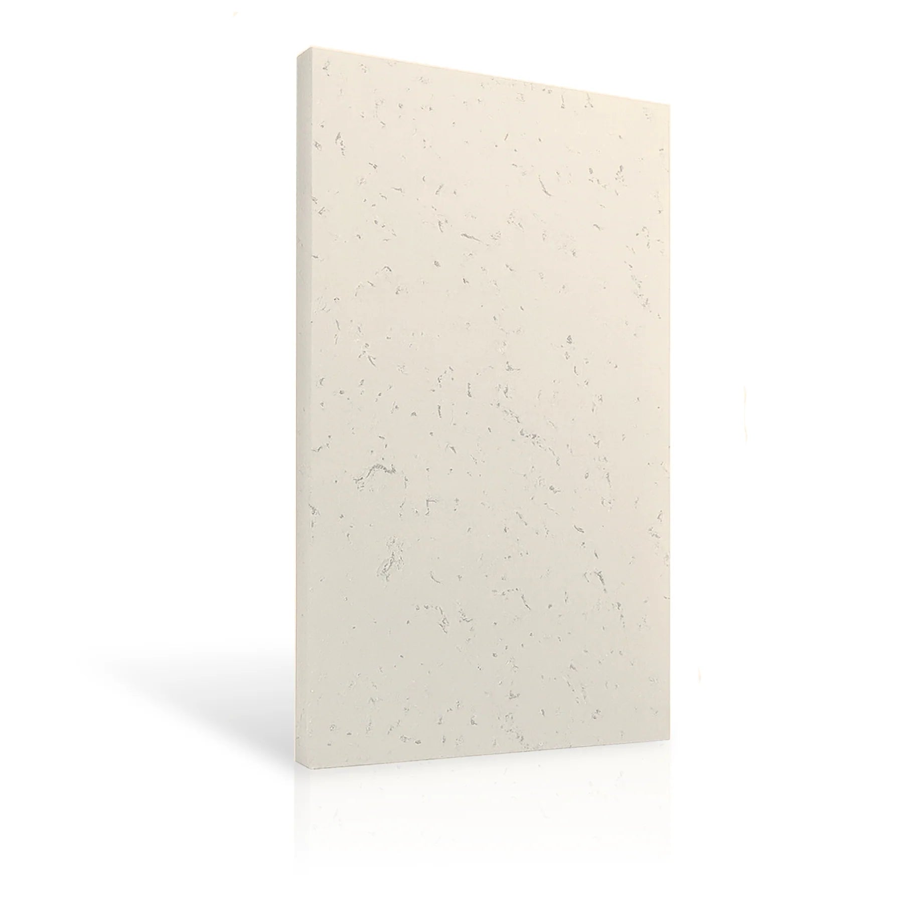 Concrete Wall Panel EXTERIOR 150x75cm colour swatch on white background DecorMania eu