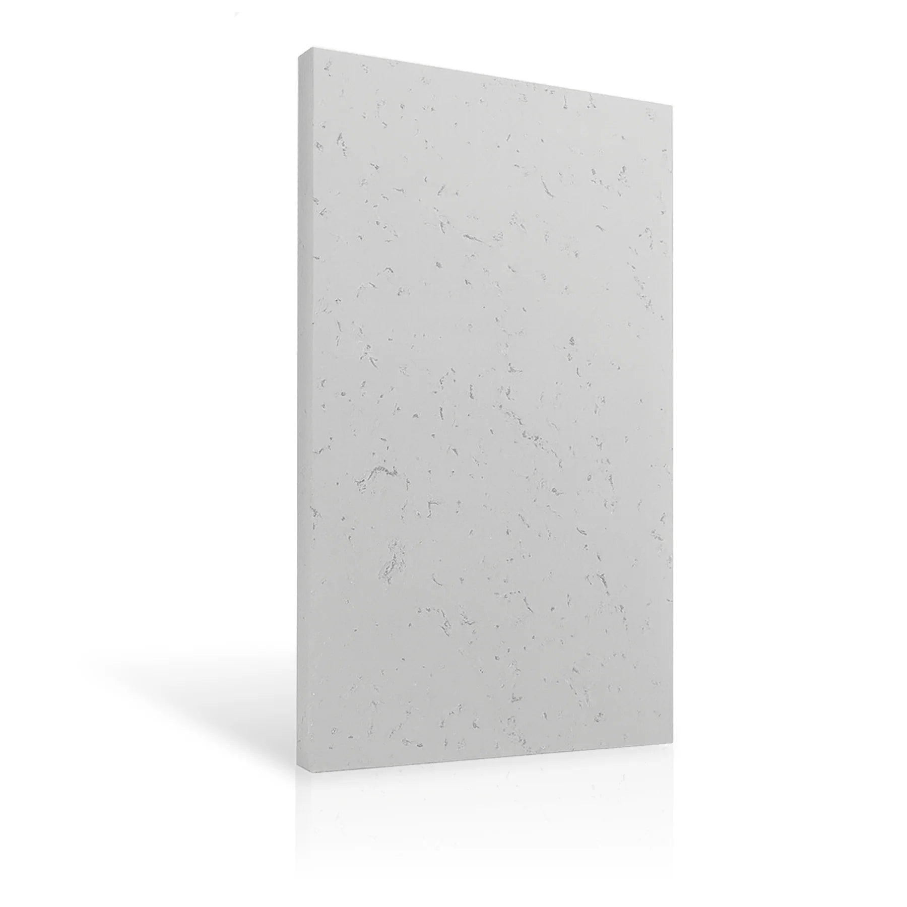 Concrete Wall Panel EXTERIOR 150x75cm colour swatch on white background DecorMania eu