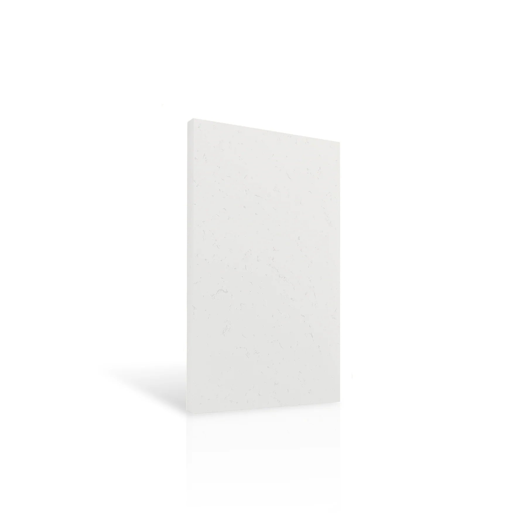 Concrete Wall Panel INTERIOR 100 x 50cm colour swatch on white background DecorMania eu