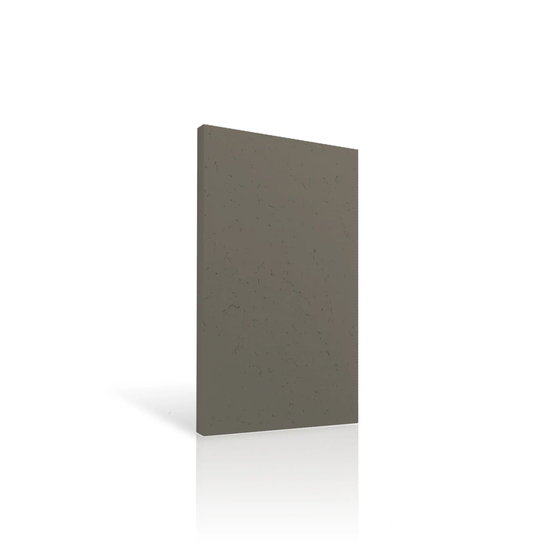 Concrete Wall Panel INTERIOR 100 x 50cm colour swatch on white background DecorMania eu