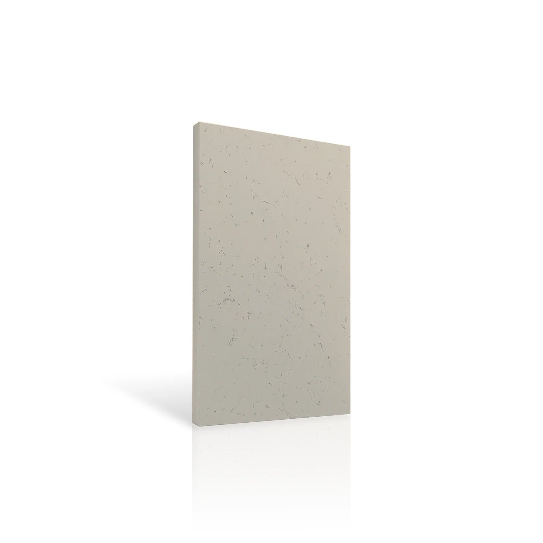 Concrete Wall Panel INTERIOR 100 x 50cm colour swatch on white background DecorMania eu