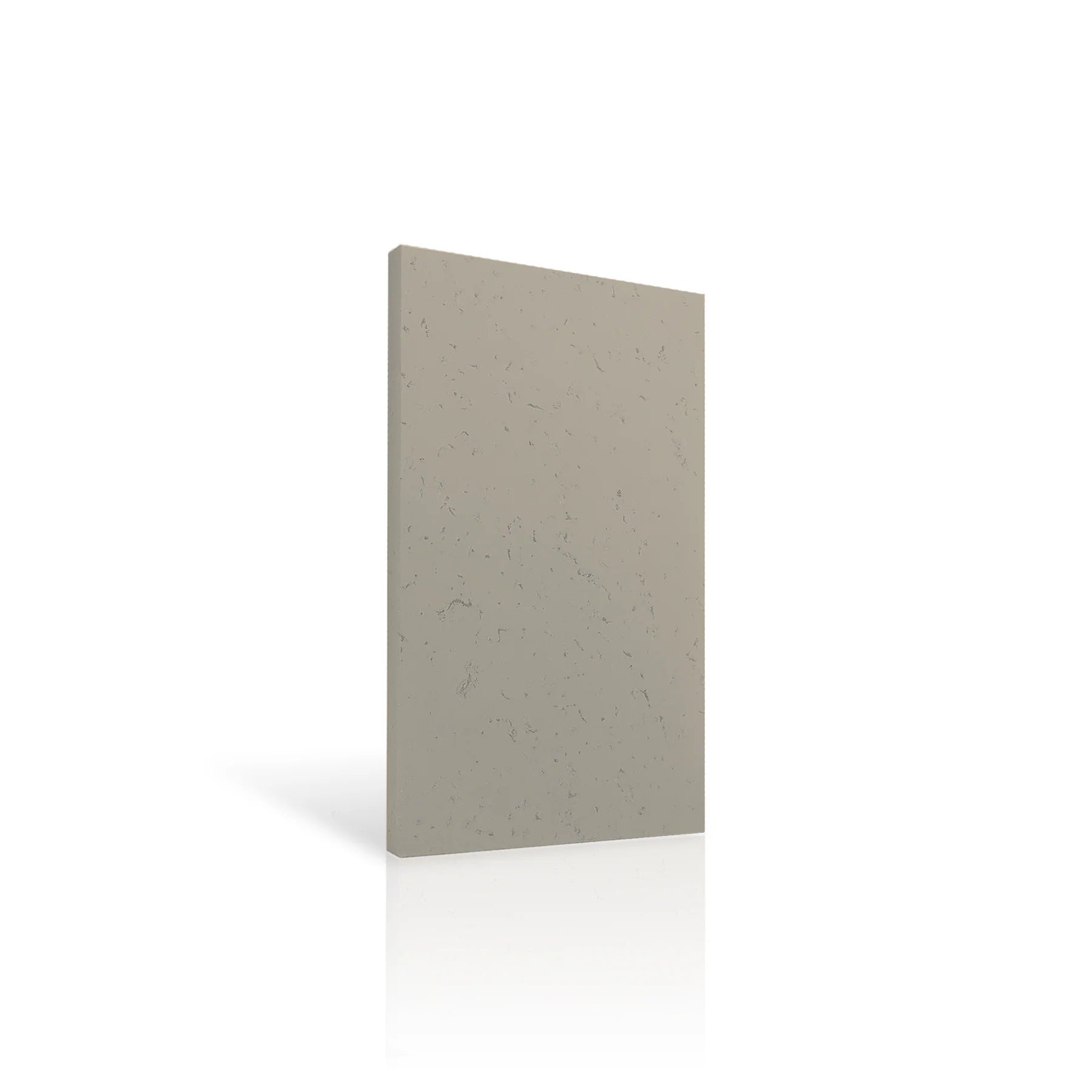 Concrete Wall Panel INTERIOR 100 x 50cm colour swatch on white background DecorMania eu