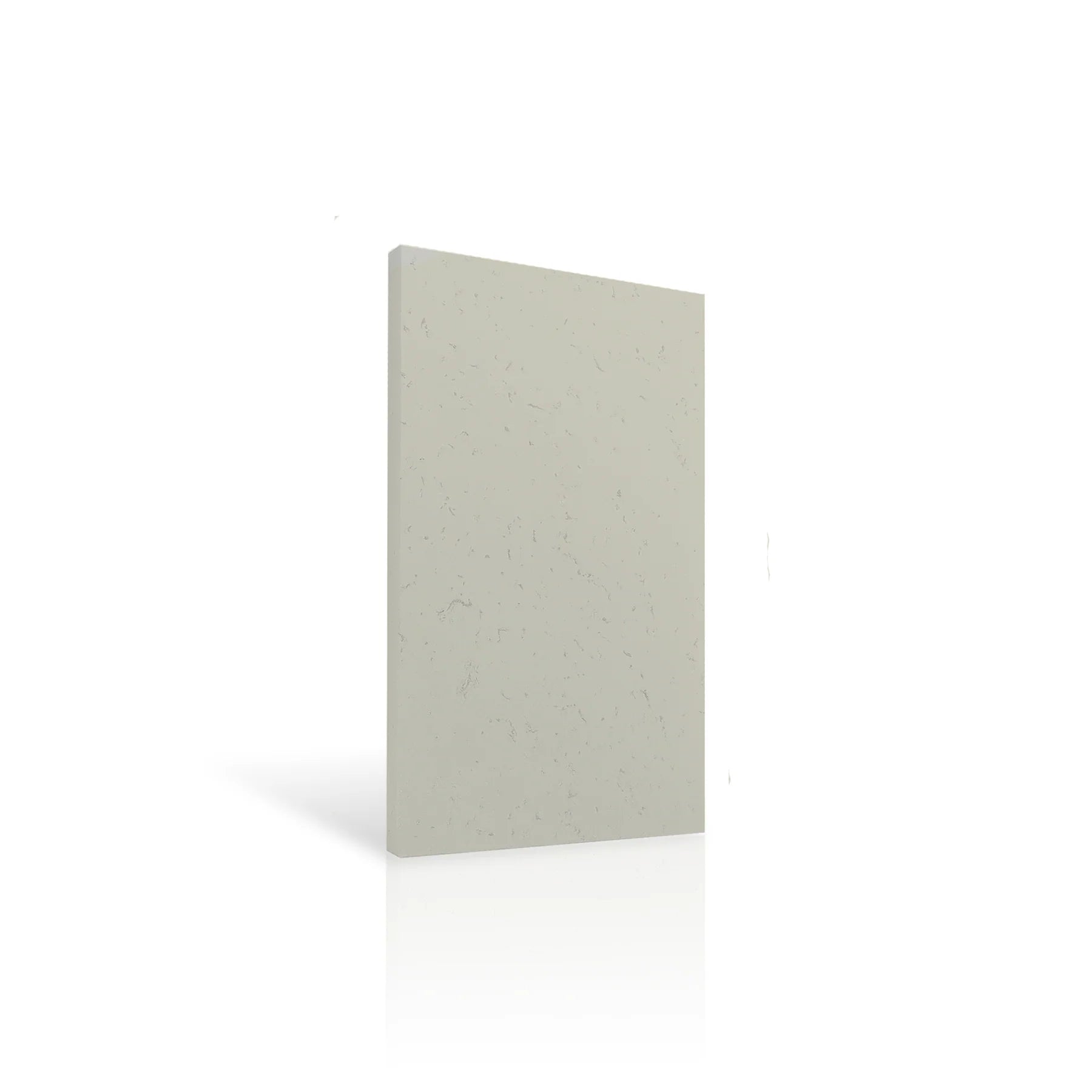 Concrete Wall Panel INTERIOR 100 x 50cm colour swatch on white background DecorMania eu