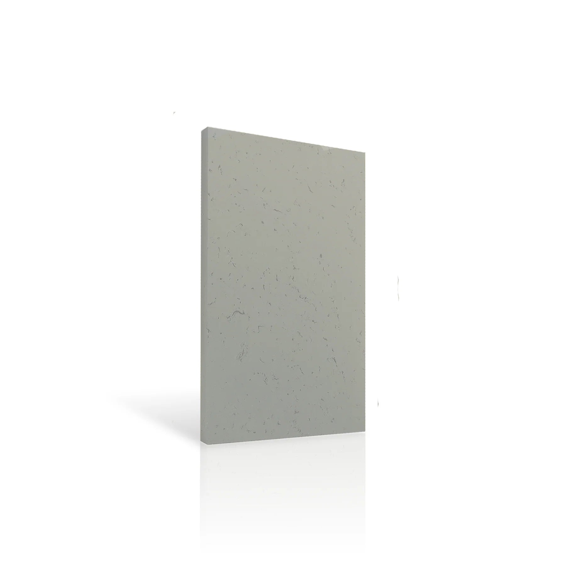 Concrete Wall Panel INTERIOR 100 x 50cm colour swatch on white background DecorMania eu