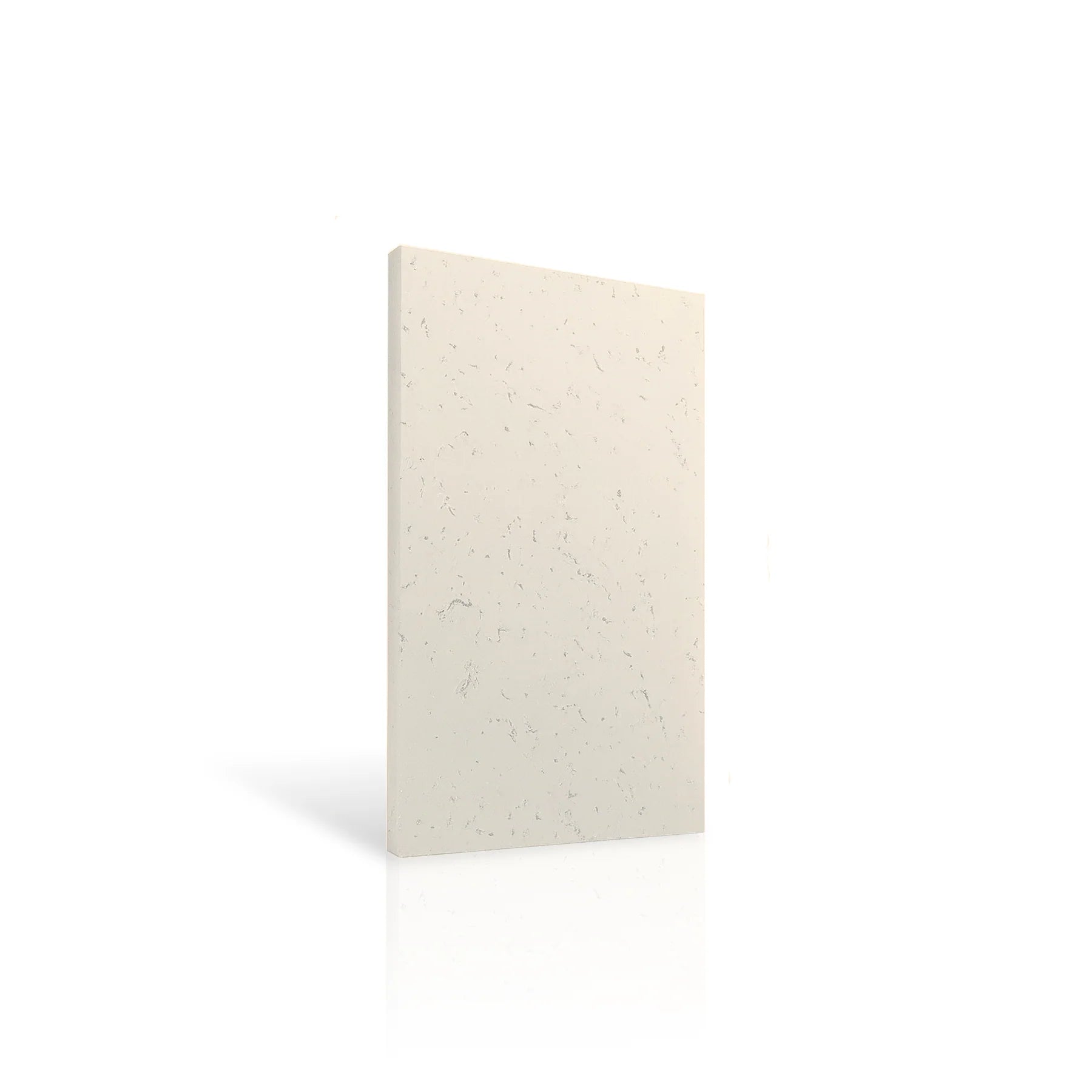 Concrete Wall Panel INTERIOR 100 x 50cm colour swatch on white background DecorMania eu