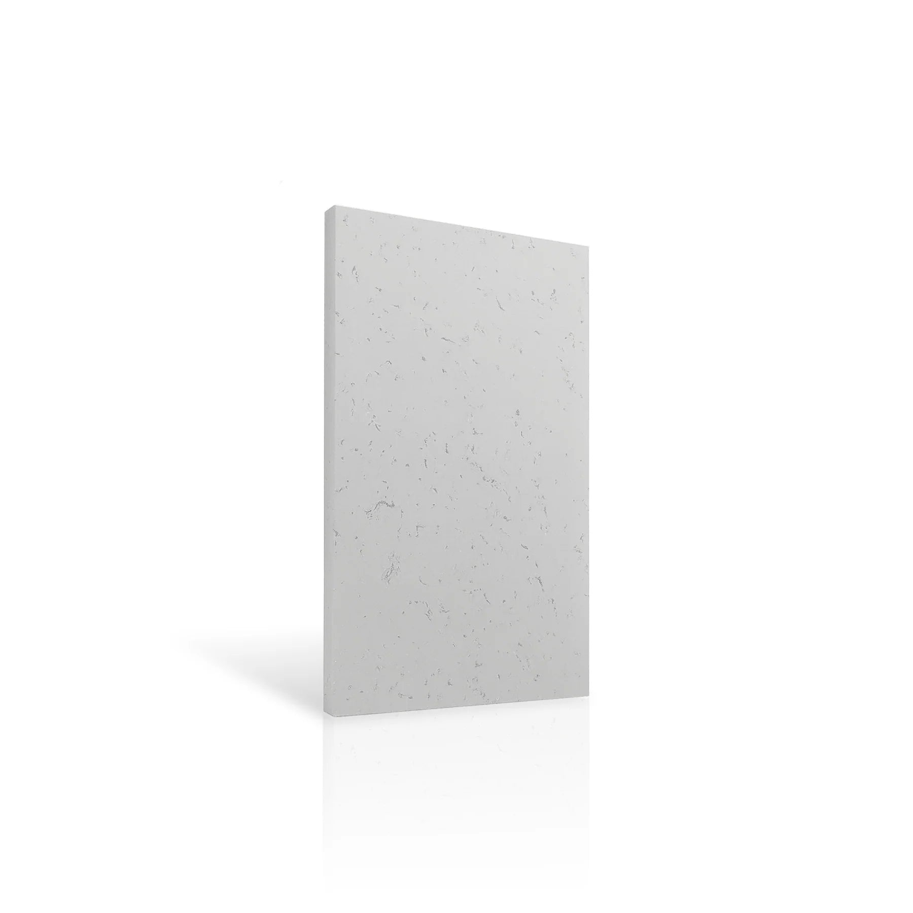 Concrete Wall Panel INTERIOR 100 x 50cm colour swatch on white background DecorMania eu