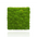 Decorative Pillow Preserved Moss Wall Decor green DecorMania eu