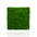 Decorative Pillow Preserved Moss Wall  green Decor DecorMania.eu