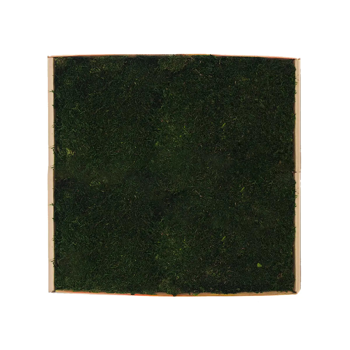 Flat Preserved Moss Wall Decor colour swatch on white background Decormania.eu