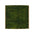 Flat Preserved Moss Wall Decor lightgreen swatch on white background Decormania.eu