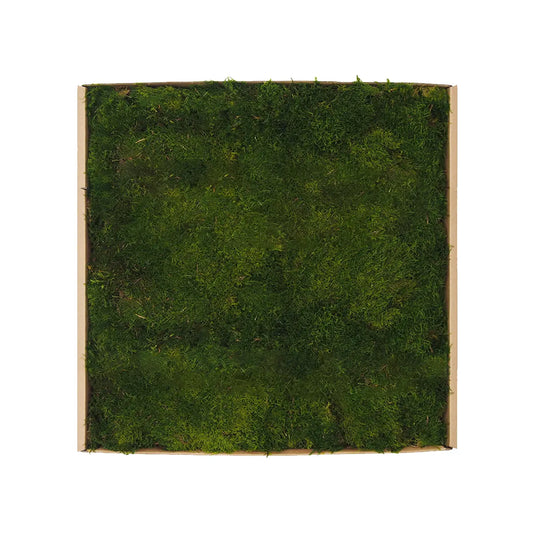 Flat Preserved Moss Wall Decor lightgreen swatch on white background Decormania.eu