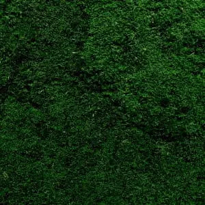 Frameless Flat Moss Wall Panels Square texture closeup DecorMania.eu