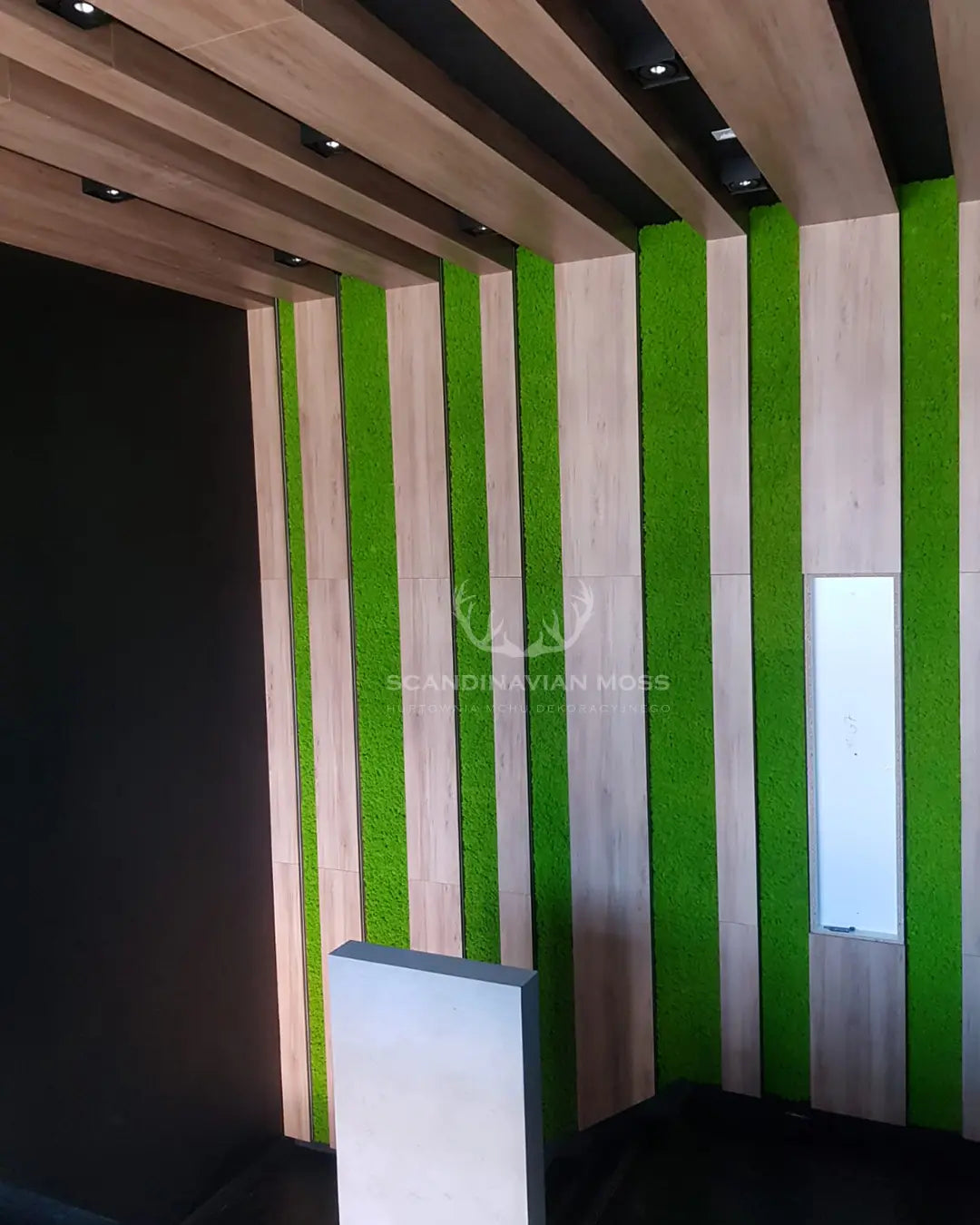 Frameless Flat Moss Wall Panels Square combined with wood DecorMania.eu