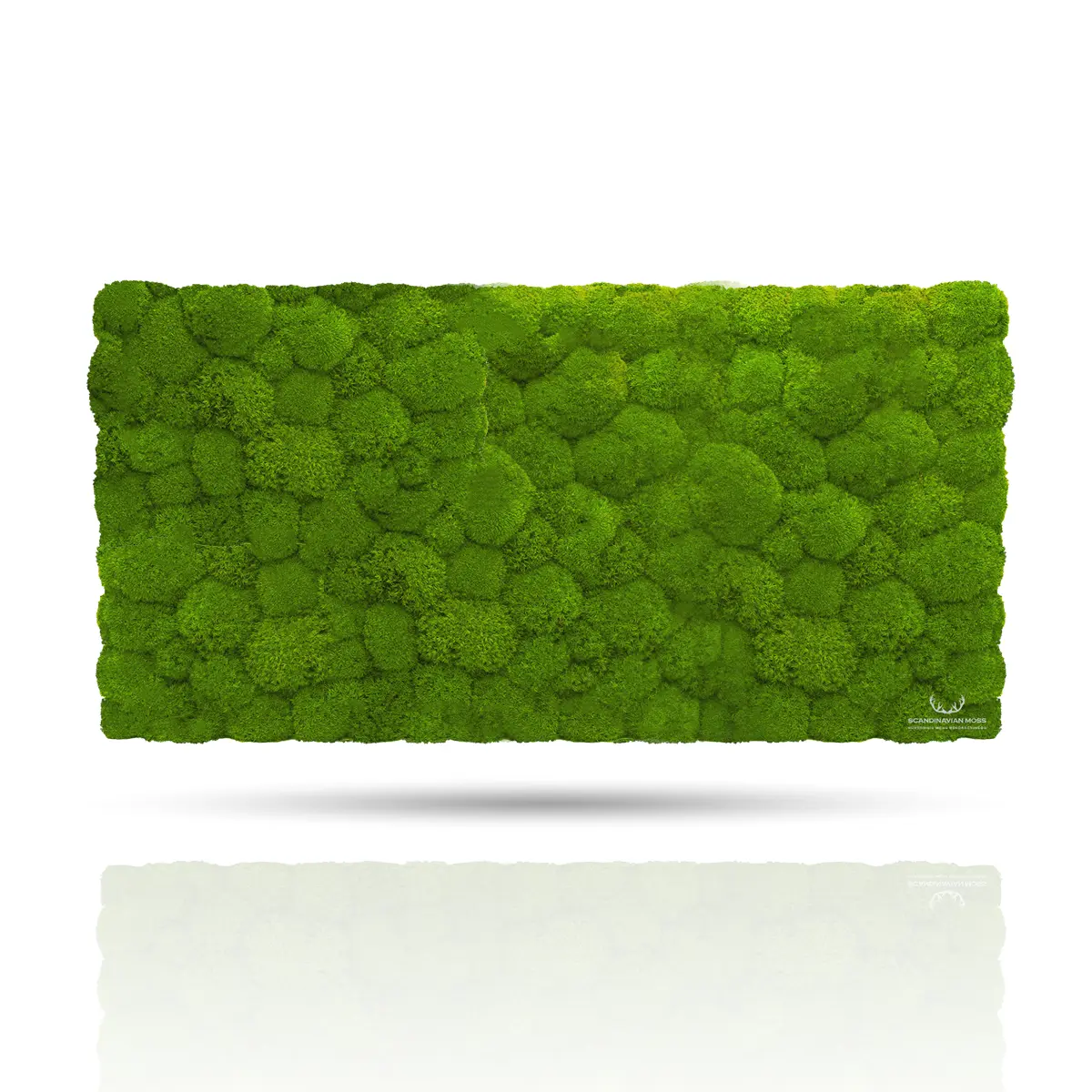 Frameless Pillow Moss Wall Panels Rectangle green DecorMania.eu
