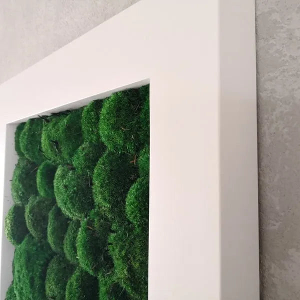 Frameless Pillow Moss Wall Panels Rectangle in white interior DecorMania.eu