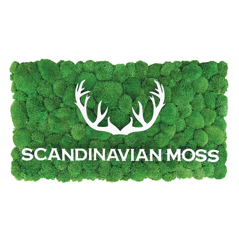 Frameless Pillow Moss Wall Panels Rectangle on white background DecorMania.eu