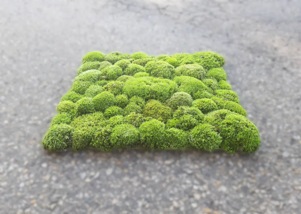 Frameless Pillow Moss Wall Panels Rectangle photo of single piece DecorMania.eu